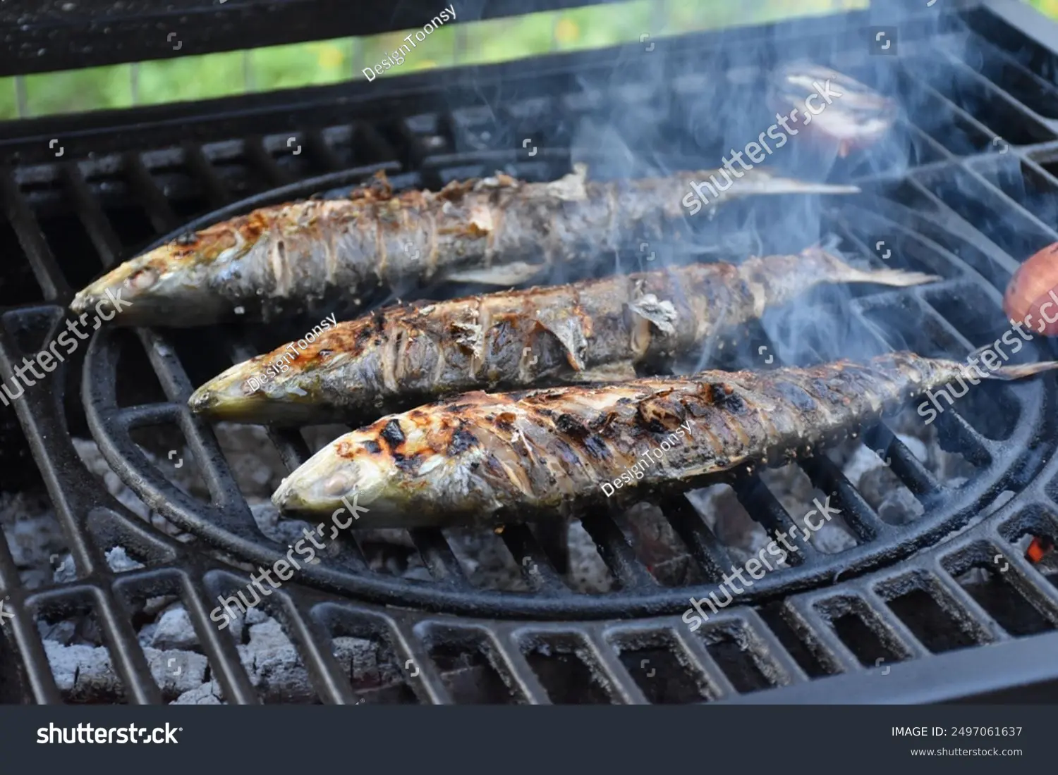 fish-cooking