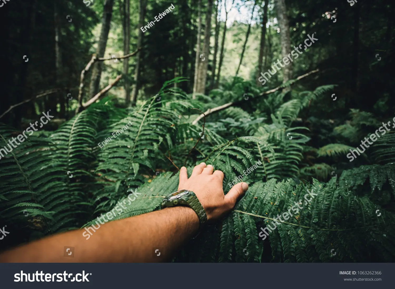nature-discovery