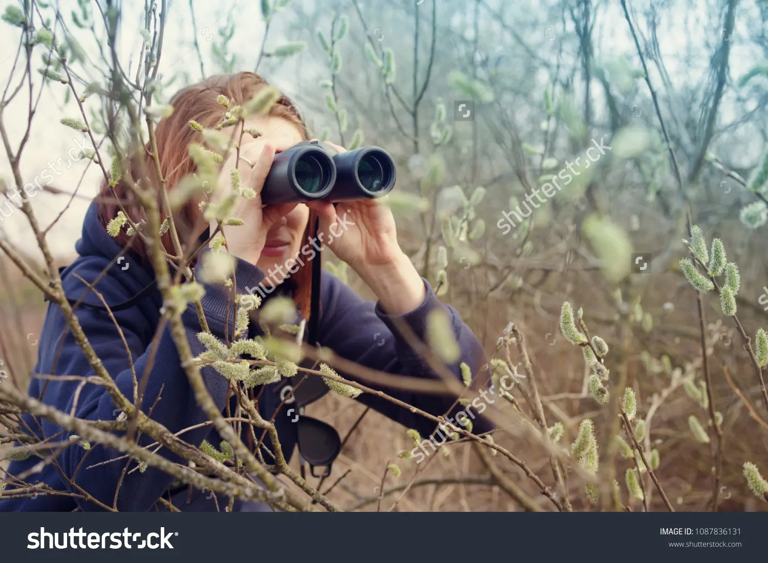 bear-watching